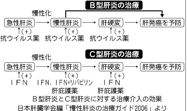 Ｂ型肝炎とＣ型肝炎に対する治療介入の効果
